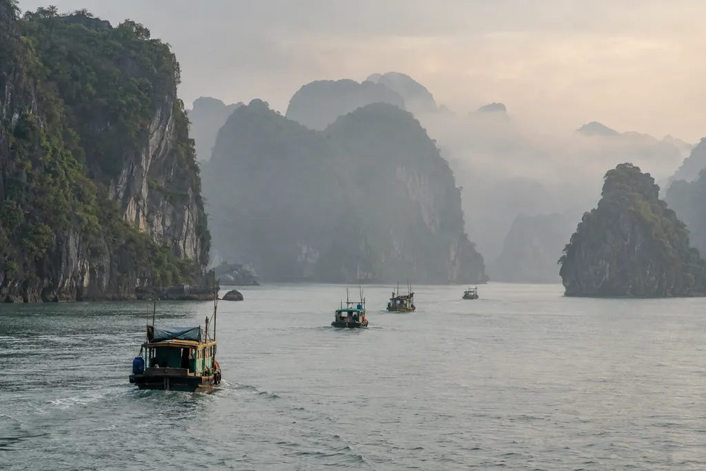 Boats Before the Fog Lifted
