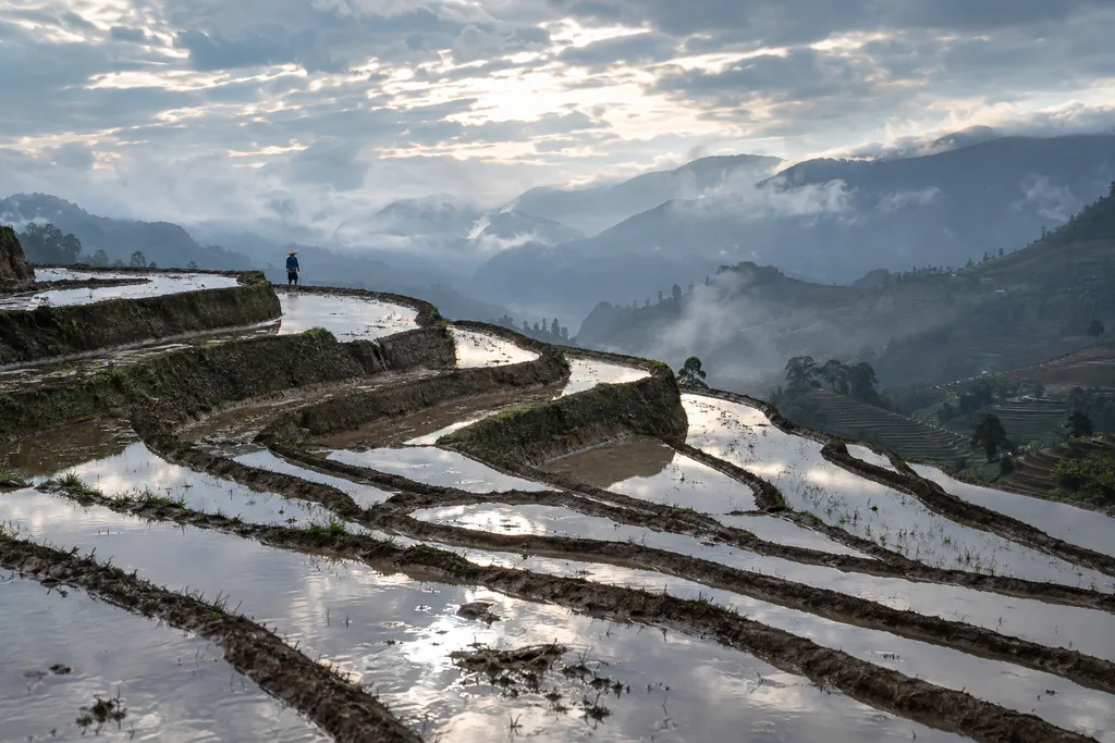 Terraces After Rain
