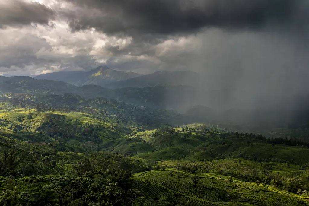 The Monsoon Arrives