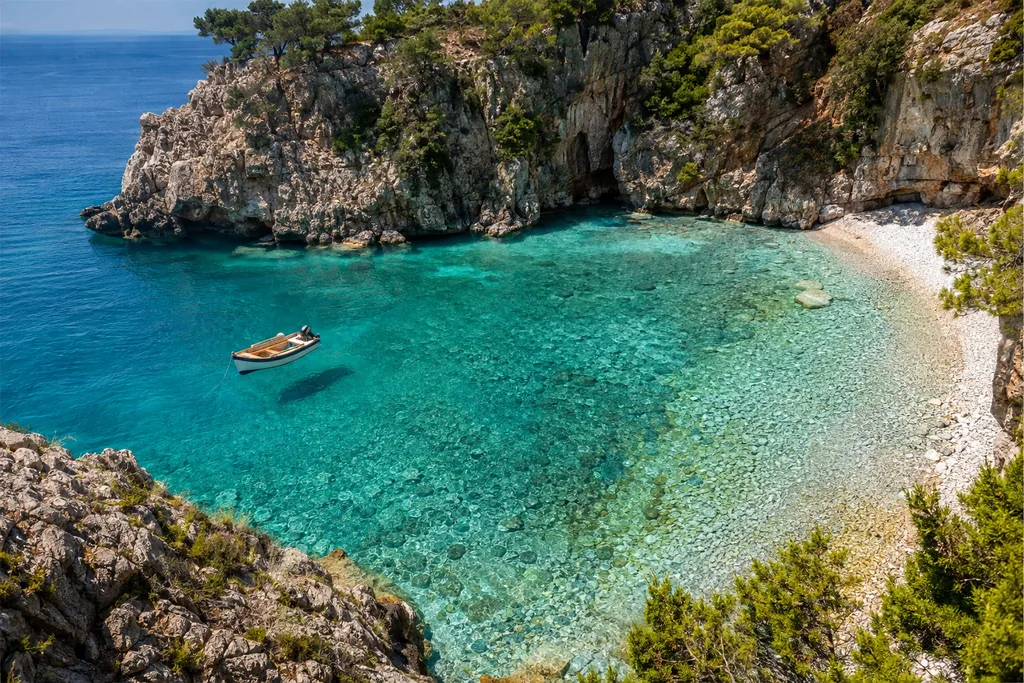 The Cove at Noon